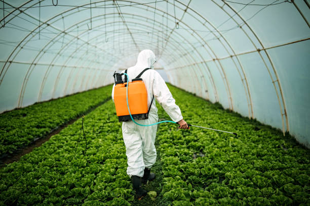 Best Pest Control Treatment  in Hartford, MI