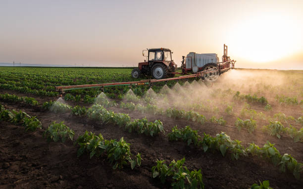 Professional Pest Control in Hartford, MI