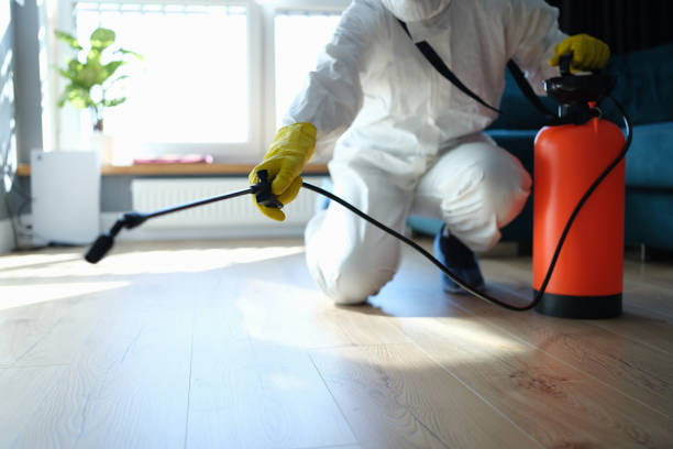 Best Flea Control Services  in Hartford, MI