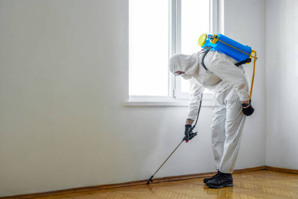 Pest Prevention Services in Hartford, MI