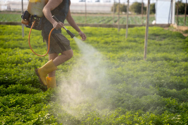 Best Affordable Exterminators  in Hartford, MI
