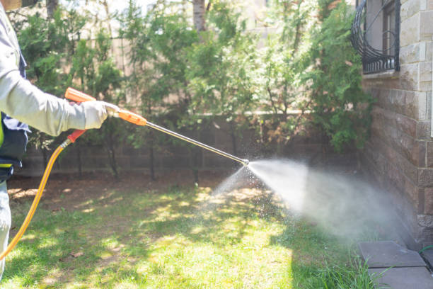 Best Termite Control Services  in Hartford, MI