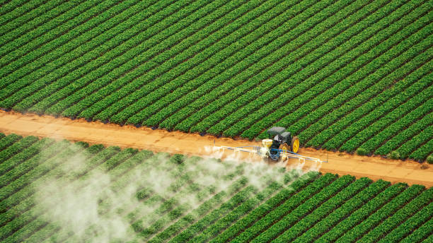 Best Mosquito Control Services  in Hartford, MI