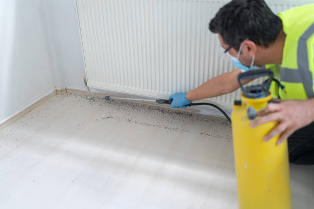 Best Ant Control Services  in Hartford, MI